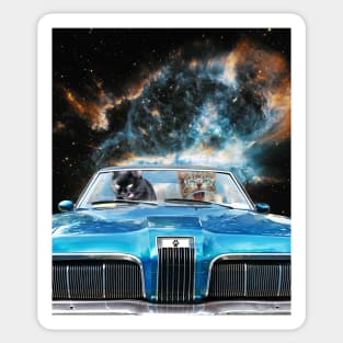 Space Galaxy Cats Driving Cat Car Sticker